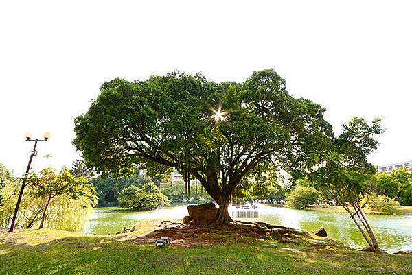中興大學 中興大學