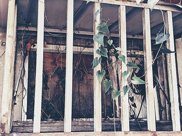 IMG_20181114_131710245.jpg IMG_20181114_131710245.jpg