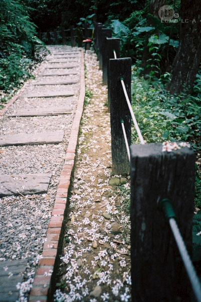 LOMO_241510.jpg