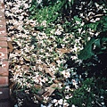 LOMO_281400.jpg