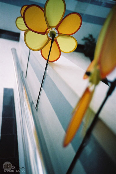 LOMO_291010.jpg