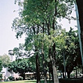 LOMO_370354.jpg