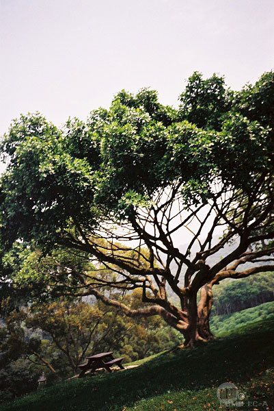 LOMO_0358.jpg