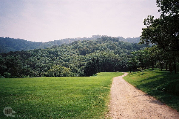 LOMO_0554.jpg