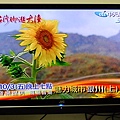 TV_0001.JPG