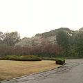 在滂沱大雨中來到皇居東御苑