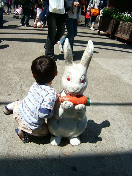 這小弟超愛小阿兔，死賴著不走