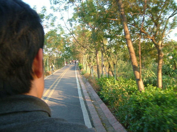 沿途風景