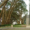 學校真的很注重&quot;花園景觀&quot;耶~到處都弄得跟公園一樣，粉美的說