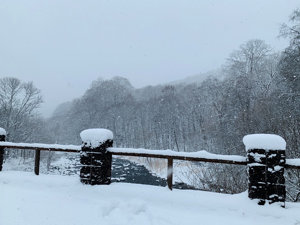 奧入瀨溪畔雪景