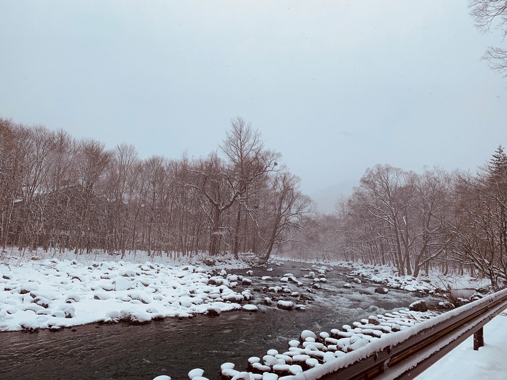 奧入瀨溪雪景