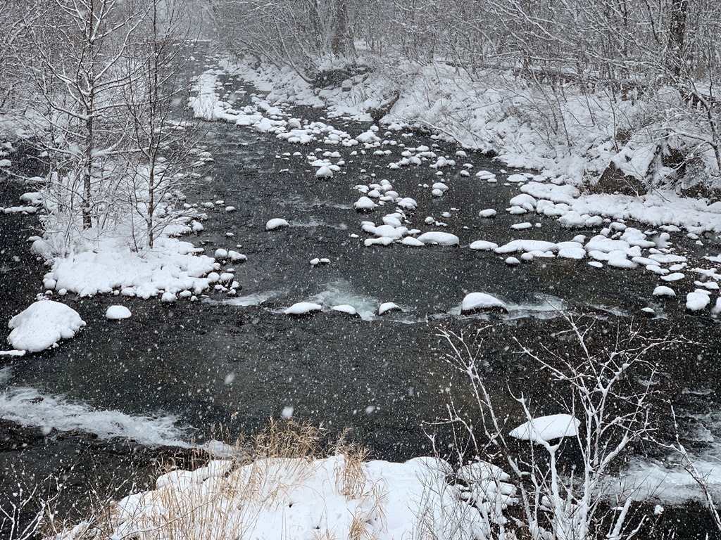 奧入瀨溪雪景