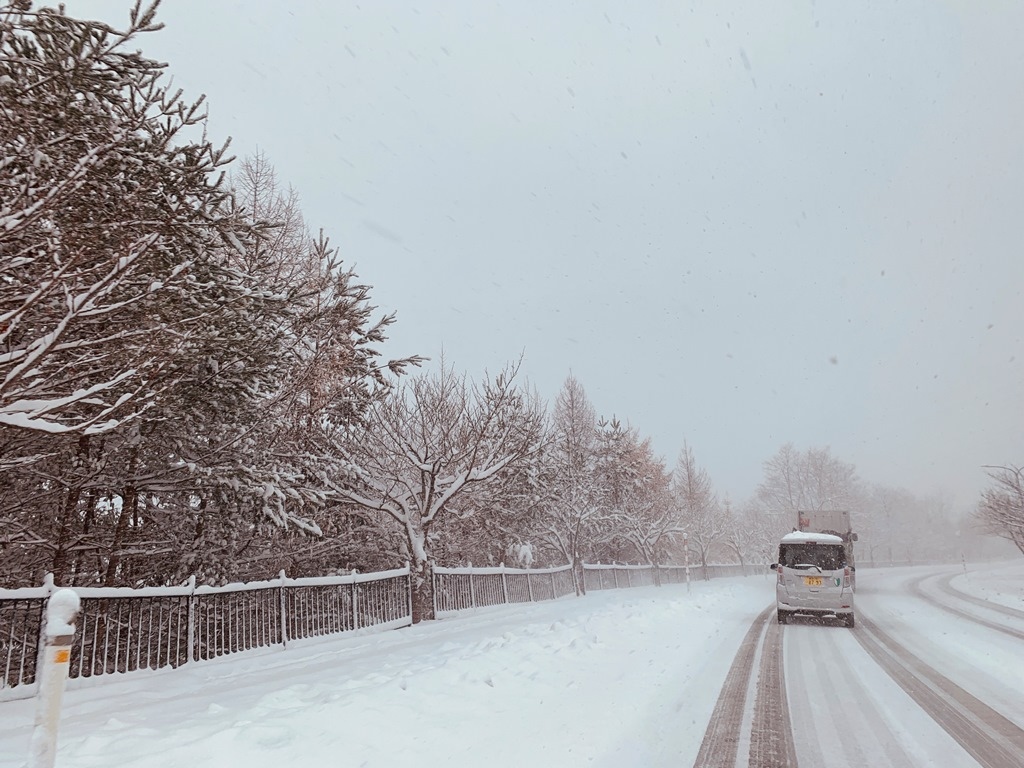 八甲田山路雪景