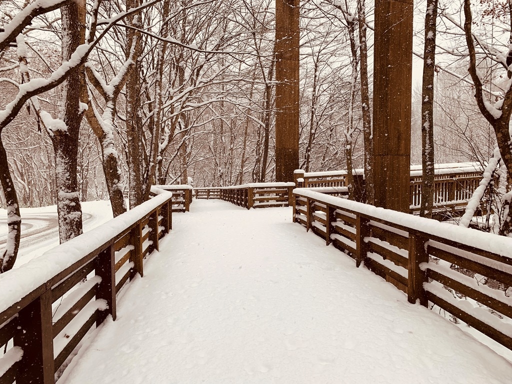 奧入瀨溪步道雪景