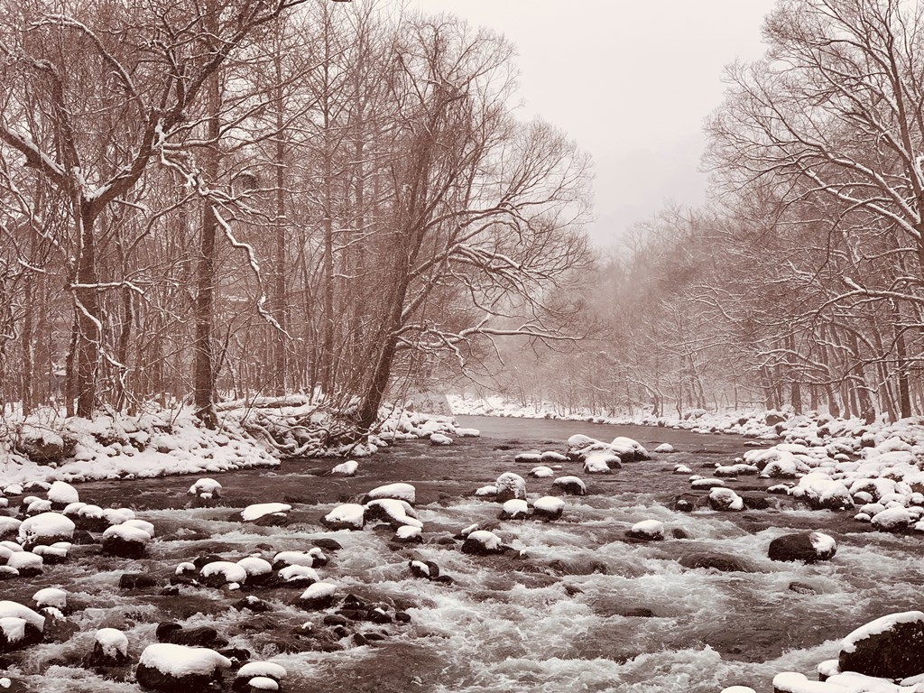 奧入瀨溪雪景