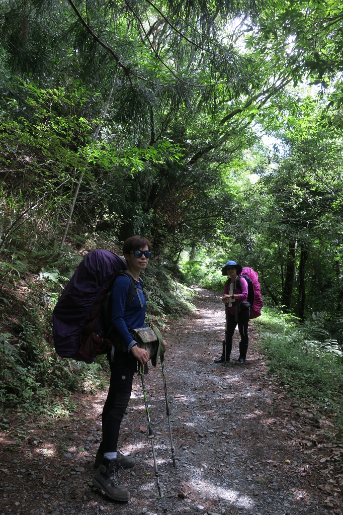 1090806-08能高越嶺古道  (9).jpg