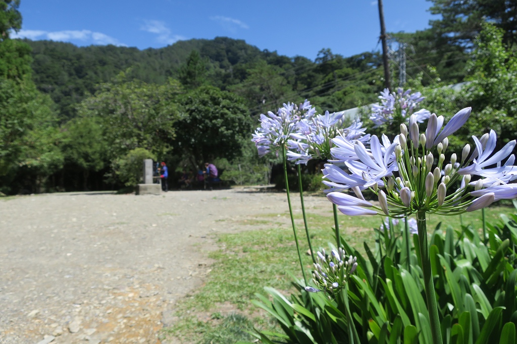 1090806-08能高越嶺古道  (22).jpg