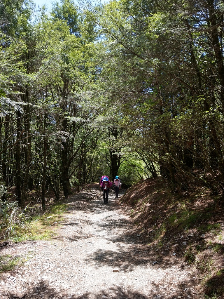 1090806-08能高越嶺古道  (30).jpg