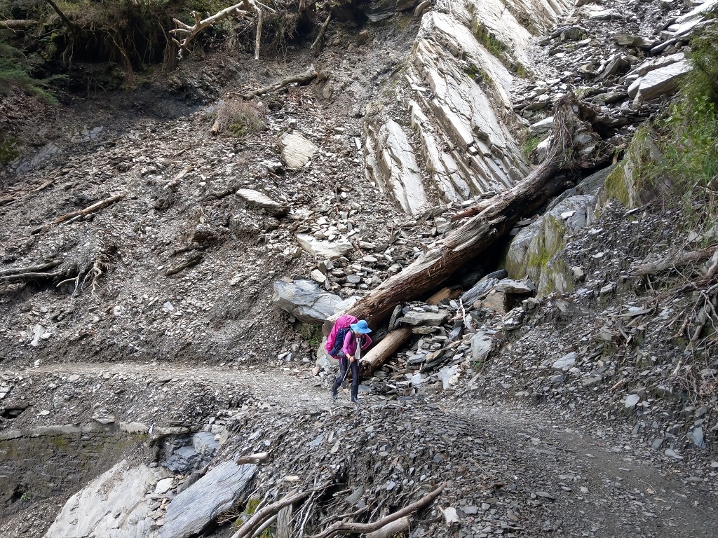 1090806-08能高越嶺古道  (32).jpg