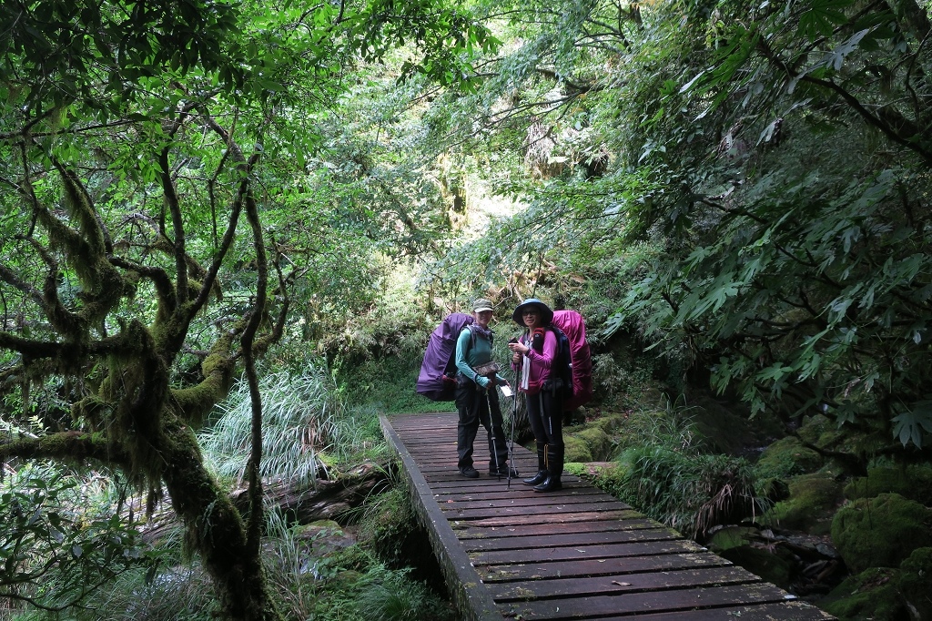 1090806-08能高越嶺古道  (138).jpg