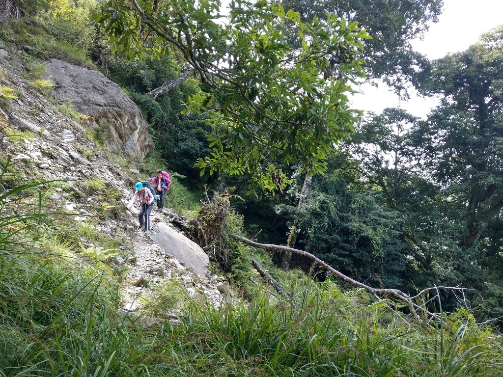 1090806-08能高越嶺古道  (160).jpg