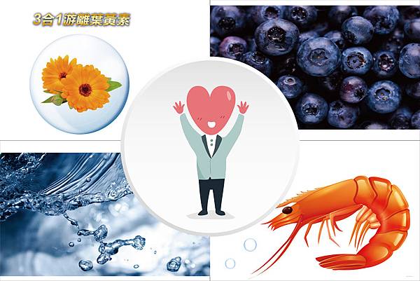 葉黃素保健品成分介紹-01-01-01.jpg 3合1游離型葉黃素與蝦紅素