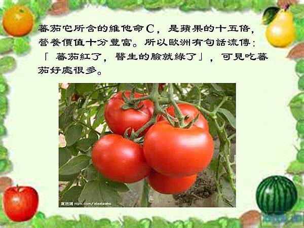 【食譜分享】番茄系列(8)。番茄義大利肉醬麵 │五互龍海美食小編 【食譜分享】番茄系列(8)。番茄義大利肉醬麵 │五互龍海美食小編