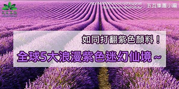普羅旺斯 - 複製.jpg 普羅旺斯 - 複製.jpg