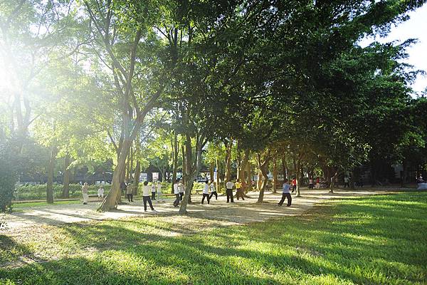 大安森林公園 大安森林公園