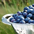 cookbook-berries-bryant-blueberry-farm-3.jpg