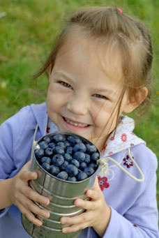 3-home-bryant-blueberry-farm.jpg