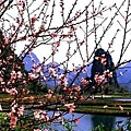 2014-09-25_151619.jpg