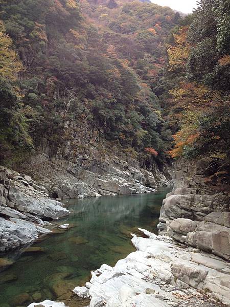 IMG_1445 IMG_1445