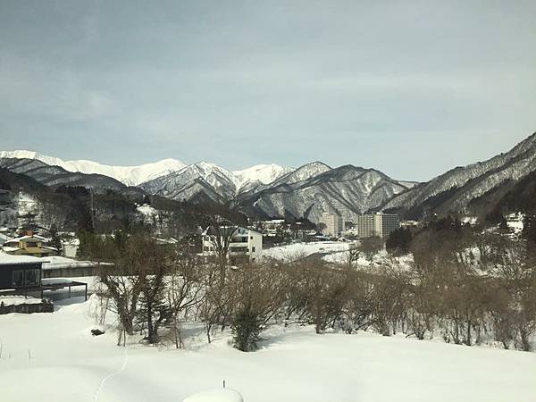 IMG_0486.JPG IMG_0486.JPG