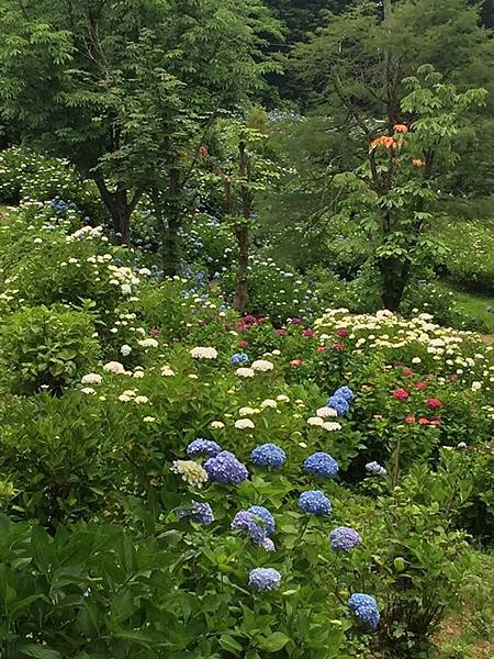 17京阪遊 玩樂篇 舞鶴自然文化園 京都舞鶴 行程表day 8 Foodie 生活雜誌 痞客邦