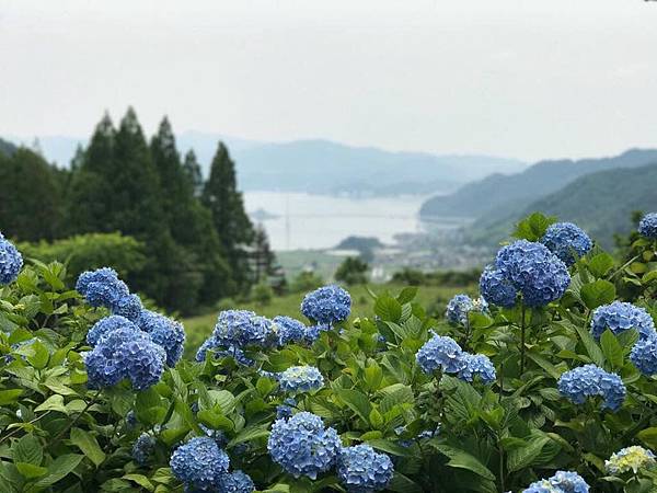 17京阪遊 玩樂篇 舞鶴自然文化園 京都舞鶴 行程表day 8 Foodie 生活雜誌 痞客邦