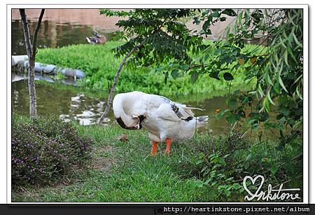 [遊記]台中都會公園(20110821)23.jpg