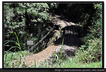 阿里山-鐵道5