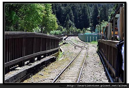 阿里山-鐵道12