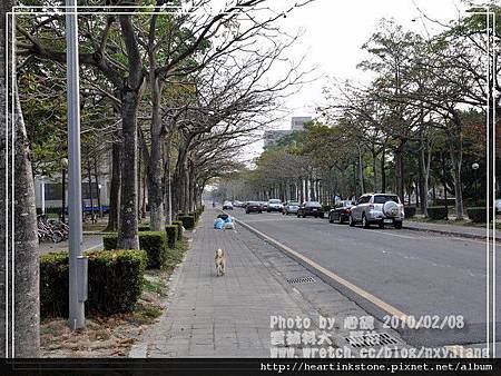 雲科大校園隨拍(2_8)18