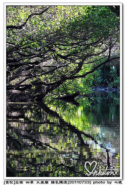 綠色隧道(20110723)28