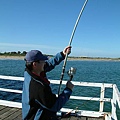 2005/10 Queenscliff-Yen_StingRay5.JPG