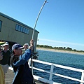 2005/10 Queenscliff-Yen_StingRay6.JPG