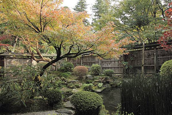 2011-京都之旅-寶泉院庭院-02.jpg