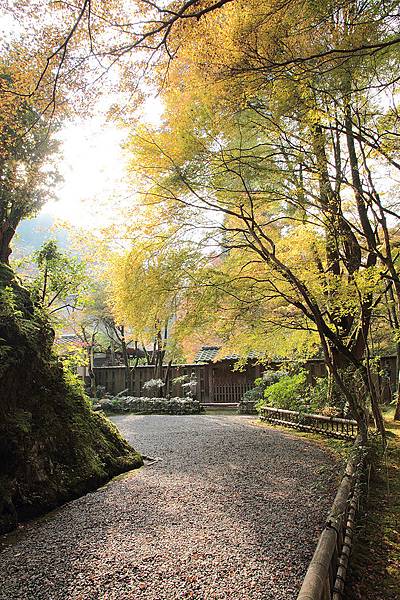 2011-京都之旅-第七天-前往高山寺途中-04.jpg