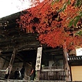 2011-京都之旅-第七天-神護寺-01.jpg