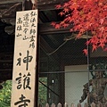 2011-京都之旅-第七天-神護寺-03.jpg