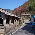 DSC06677-3.jpg