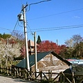 DSC06722-3.jpg