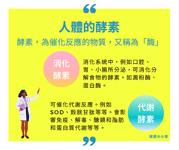 酵素 跟你想的不一樣 健康大小事的部落格 痞客邦 酵素 跟你想的不一樣 健康大小事的部落格 痞客邦